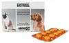 Gastrosel 100 Tabletten Unterstützung der Verdauung für Produktbild-Vorschau 1