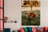 MuchoWow® Poster Pferd - Gras - Baum 120x180 cm - Produktbild-Vorschau 3