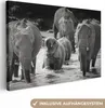 OneMillionCanvasses® - Leinwandbilder - 140x90 cm, Elefant Produktbild-Vorschau 1