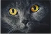 ARTland Wandbild Alu für Innen & Outdoor Katzenaugen Größe: Produktbild-Vorschau 1