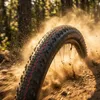 Plášť Schwalbe Thunder Burt 29x2,25 (57-622) HS451 Evo Náhled obrázku produktu 4