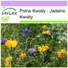 SAFLAX - Polne Kwiaty - Jadalne Kwiaty - 1000 Nasiona - Mix Podgląd zdjęcia produktu 4
