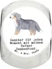 Mr. & Mrs. Panda Dose Berner Sennenhund Moment L 870ml - Produktbild-Vorschau 1