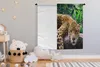 MuchoWow® Wandteppich Wandbehang Jaguar ruht 120x120 cm Produktbild-Vorschau 3