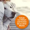 Ardap spray antizecche sugli animali Anteprima dell’immagine prodotto 6