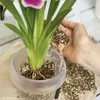 LECHUZA Planter ORCHID ALL-IN-ONE Matt white Anteprima dell’immagine prodotto 16