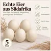 5 Stück Deko Straußenei natur, entleert & gereinigt, Länge Produktbild-Vorschau 6