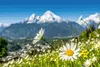 Vlies Fototapete KÜNSTLERISCHER BLICK AUF DIE ALPEN 375 x Produktbild-Vorschau 2