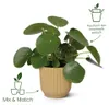 elho vibes fold rund 18cm leinenweiß, Weiß, Kunststoff, 3,6 Produktbild-Vorschau 2
