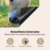 KitchenYeah© Herdabdeckplatte Weidendes Fjordpferd an einem Produktbild-Vorschau 5