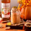 Sciroppo Monin Sciroppo di spezie di zucca con spezie fini Anteprima dell’immagine prodotto 6