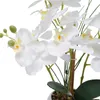 Umělé orchideje v květináči Phalaenopsis White Flower Náhled obrázku produktu 6