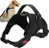 A black dog harness is shown in the foreground, with a golden retriever wearing a similar harness in the background. Podgląd zdjęcia produktu