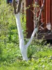 A tree trunk painted white in a garden setting. Produktbild-Vorschau