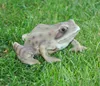 Gartenfigur Teichfigur Dekofigur Frosch Produktbild-Vorschau 3