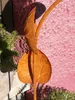 Edelrostoptik Blume Lilie, Susan (kleine Blätter) Produktbild-Vorschau 4