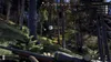 THQ Nordic Way of the Hunter, PlayStation 5, Produktbild-Vorschau 4