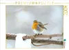 CALVENDO Puzzle Rotkehlchen im Winter 2000 Teile Puzzle Produktbild-Vorschau 1