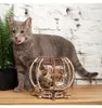 Ugears 3D Drewniane Puzzle Mechaniczne Mechaniczne Akwarium Podgląd zdjęcia produktu 13