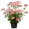 Hydrangea arborescens 'Pink Annabelle', rosa, 40–60 cm Produktbild-Vorschau 1