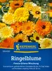 Artikelbild 2 von 'Ringelblume Fiesta Gitana Mischung' aus der Kategorie Ringelblumensamen Produktbild-Vorschau