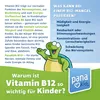 PanaKids Vitamin B12+ Tropfen für Kinder ab 4 Jahren mit Produktbild-Vorschau 2