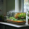 An aquarium with fish and plants on a windowsill. Náhled obrázku produktu