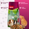 PANTO Meerschweinchenfutter – 25 kg bunte Mischung mit Produktbild-Vorschau 2