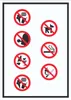 Schild Platz- und Hallenordnung Symbol hochkant A4 Produktbild-Vorschau 1