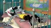 Hase und Wolf (Komplette Serie) - Fernsehjuwelen GmbH  - Produktbild-Vorschau 3