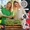 KOTARBAU® 2er Set Blumenkasten für Balkon 40x18x15cm Produktbild-Vorschau 8