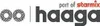 HAAGA Handkehrmaschine 375 m.2 Seitenbesen 750mm 2900 m²/h Produktbild-Vorschau 7