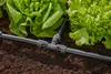 GARDENA® Micro-Drip-System 2.0 T-Stück 13 mm - 1/2" - 2er Produktbild-Vorschau 13