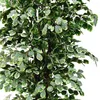 Ficus Benjamin Birkenfeige Kunstpflanze Kunstbaum Produktbild-Vorschau 2