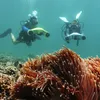 Asiwo MANTA Unterwasserscooter mit Sportkamera-Halterung, Produktbild-Vorschau 8