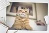 MuchoWow® Schreibtischunterlage Katze - Bank - Orange 60x40 Produktbild-Vorschau 5