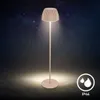 Briloner CHAMP LED Lampadaire sans fil IP44, variateur, Voir les images du produit 7