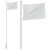 Mât de drapeau divisible Argenté 6,23 m Aluminium Voir les images du produit 1