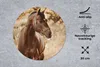 MuchoWow® Mauspad Mousepad Pferd - Sonne - Porträt - Natur Produktbild-Vorschau 2