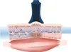 BellaBambi® ORIGINAL solo Physio - nachtblau Produktbild-Vorschau 9