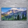 Glasbilder 120x60 Wandbild Druck auf Glas Gebirge Wald Produktbild-Vorschau 2