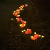 Lampade solari per la decorazione del giardino luci solari Anteprima dell’immagine prodotto 2