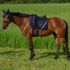 Tommy Hilfiger Equestrian Stanford Dressurschabracke Produktbild-Vorschau 7