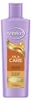 Šampon Andrelon Oil & Care (250 ml) Náhled obrázku produktu 1