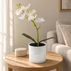 Künstliche Orchidee in einem Glas-Blumentopf mit LED und Produktbild-Vorschau 2