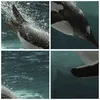 Poster - Poster ohne Rahmen - Tauchen Pinguin Gletscher - Produktbild-Vorschau 8