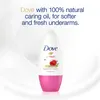 Dove Deoroller 6er Pack Go Fresh Granatapfel- und Produktbild-Vorschau 4