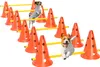 PawHut Agility Set Dogs 6-częściowy sprzęt do agility do Podgląd zdjęcia produktu 1