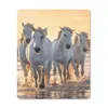 MuchoWow® Mauspad Mousepad Pferde - Wasser - Strand - Tiere Produktbild-Vorschau 1
