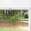 Outsunny Gewächshaus 3 x 2 x 2 m Foliengewächshaus mit 8 Produktbild-Vorschau 9